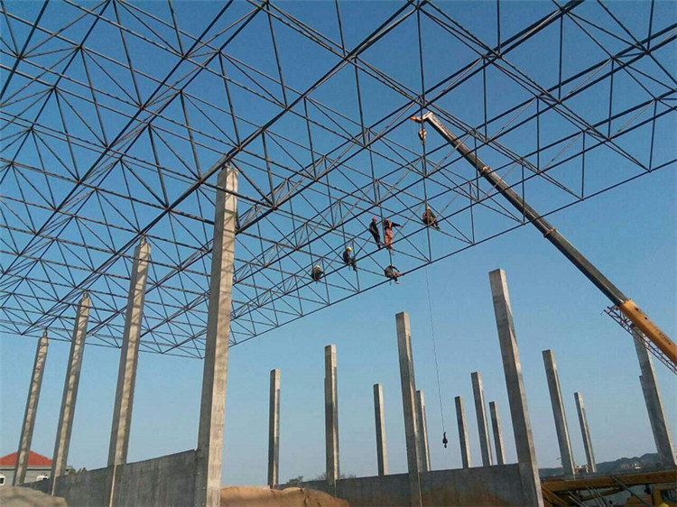 侯马加气站钢结构网架案例10